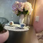 Apartment 2-bedroom, 2-bathroom With Fireplace And Garden At Winslow Infinity Bansko