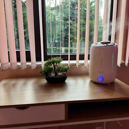 2-bedroom, 2-bathroom With Fireplace And Garden At Winslow Infinity Apartment *