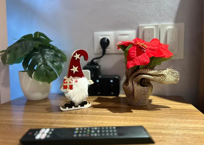 2-bedroom, 2-bathroom With Fireplace And Garden At Winslow Infinity Apartment *